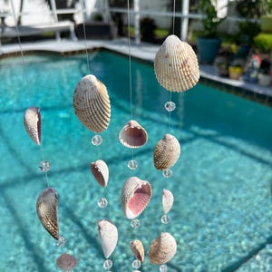 Könnte beinhalten: Ein Muschel-Windspiel mit Muscheln in verschiedenen Größen und Formen, die an einem Stück Treibholz hängen. Klare Perlen sind zwischen den Muscheln eingefügt. Die Muscheln sind beige, weiß und rosa.