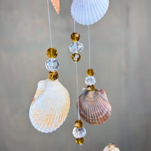 May include: A seashell mobile with white, brown, and orange shells, strung with clear and amber beads. The mobile hangs from thin, clear strings, creating a delicate, airy feel. The shells are of varying sizes and shapes.