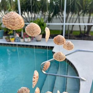 May include: A seashell wind chime with various sizes and shapes of seashells suspended by clear string. The shells are tan and brown, with a natural, textured appearance. The chime hangs near a pool, with a blurred background of greenery.