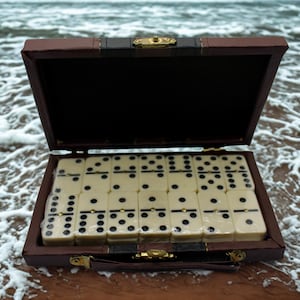 Set di domino. Classico gioco da tavolo. Perfetto per serate di gioco in famiglia e per collezionisti. Set di domino con custodia in pelle. Set di gioco Premium Double-Six.