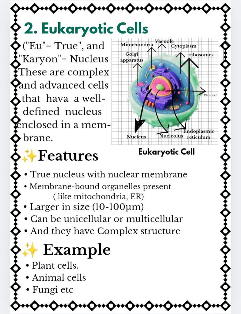 Cell Structure and Function | Printable Biology Notes PDF | Labeled ...