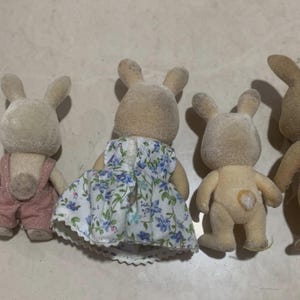 Puede incluir: Cuatro figuras de conejos de juguete. Uno lleva un peto rosa, otro un vestido floral. Los otros dos son conejos de color marr&oacute;n claro. Los juguetes tienen una textura difusa y est&aacute;n colocados en fila.