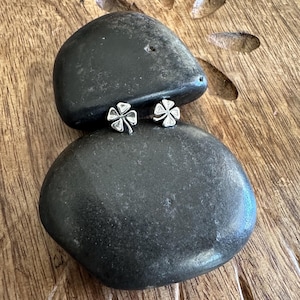 May include: A pair of silver four-leaf clover earrings on a black stone.