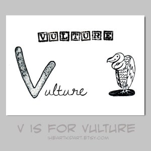 V is for Vulture Animal ABC Alphabet Kid Art Print image 2