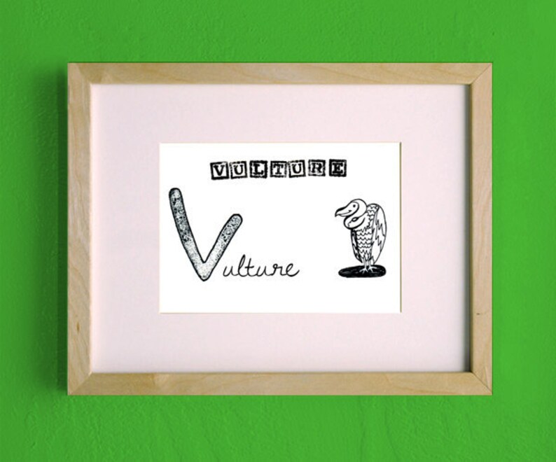 V is for Vulture Animal ABC Alphabet Kid Art Print image 3