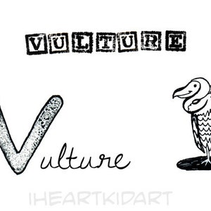 V is for Vulture Animal ABC Alphabet Kid Art Print image 1