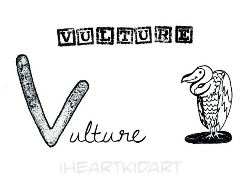 V is for Vulture Animal ABC Alphabet Kid Art Print image 1