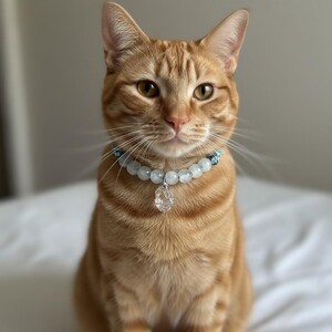 以下が含まれることがあります： オレンジ色の縞模様の猫が、透明なクリスタルのペンダントが付いたビーズの首輪をしています。首輪には、水色と透明のビーズが付いています。猫は座って、カメラをまっすぐ見ています。