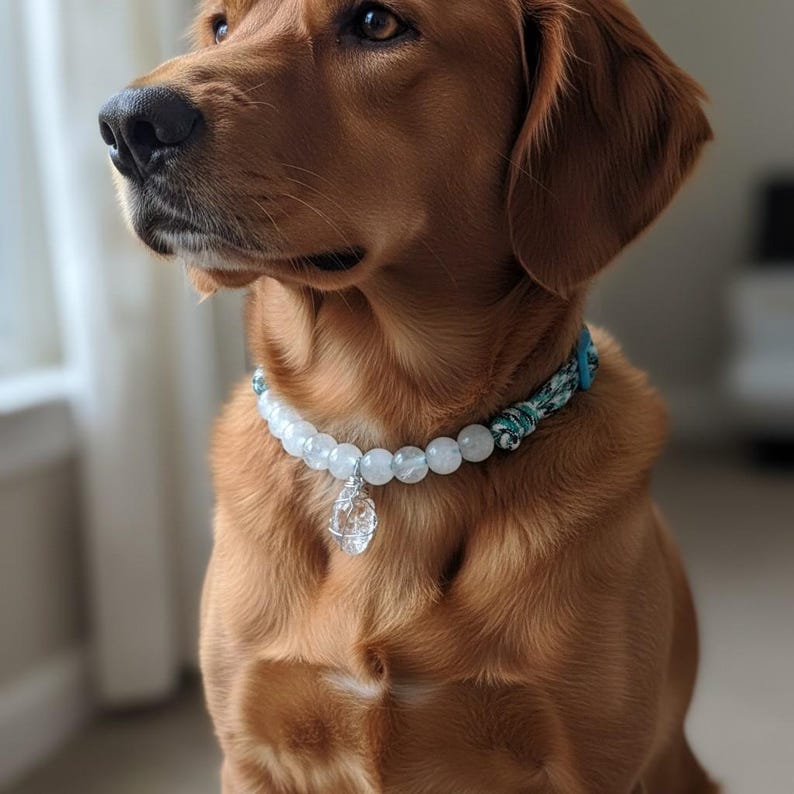 以下が含まれることがあります： 犬用のビーズカラーをつけたゴールデンレトリバー。カラーは白く丸いビーズと透明なクリスタルのペンダントが特徴です。カラーの生地は青と白の模様です。犬は横を向いています。