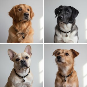 Może przedstawiać: Cztery psy r&oacute;żnych ras, każdy z naszyjnikiem z koralik&oacute;w i wisiorkiem. Psy to golden retriever, czarno-biały husky, buldog francuski i terier. Tło jest jednolicie białe.