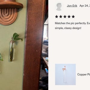 Może przedstawiać: Dwie stacje do rozmnażania roślin wykonane z przezroczystych szklanych prob&oacute;wek, zamontowane na zielonej ścianie. Każda prob&oacute;wka jest zabezpieczona miedzianym drutem i zawiera małą zieloną sadzonkę rośliny w wodzie. Nad prob&oacute;wkami znajduje się łukowata p&oacute;łka ścienna z drewna.