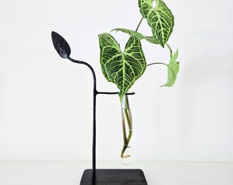 Hand-Forged Leaf Propagation Station: Metal Plant Prop Holder with Glass Tube