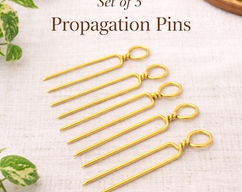 Gold Propagation Pins – Plant Vine Training Clips, Indoor Plant Accessories