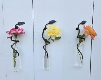 Hand Forged Steel Vine Wall Vase Set: Plant Propagation, Rustic Decor