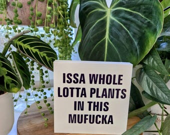 Whole Lotta Plants Funny Wood Sign – 4.5x4.5" Plant Lover Gift – Bold Indoor Jungle Decor – Sassy Plant Shelf Block