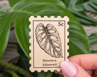 Monstera Adansonii Magnet – Laser Cut Wood Swiss Cheese Plant Decor
