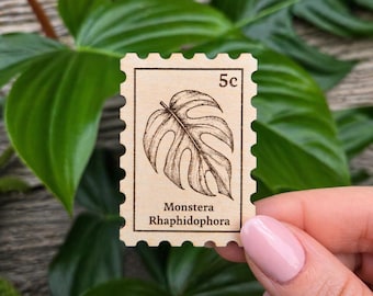 Monstera Leaf Magnet – Botanical Fridge Decor, Houseplant Gift