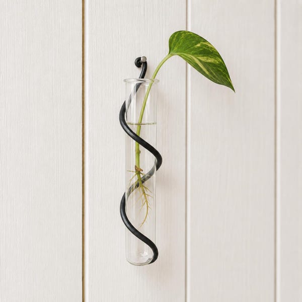 6.5" Wall Propagation Vase - Hand Forged Metal Plant Cutting Holder | Glass Tube Bud Vase | Minimalist Botanical Wall Decor