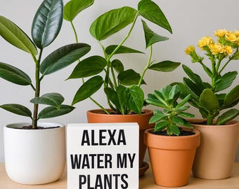 Funny Plant Lover Wood Block Sign: Alexa, Water My Plants
