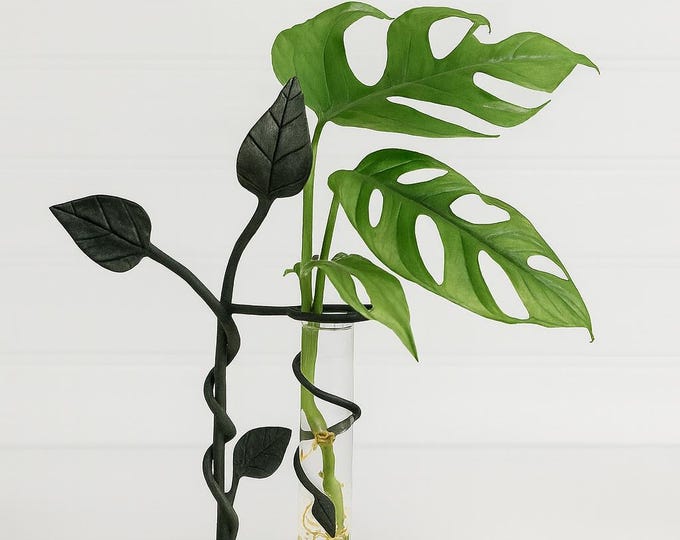 Featured listing image: Hand Forged Steel Leaf Propagation Station: Rustic Botanical Decor