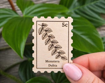 Monstera Dubia Magnet – Laser Cut Wood Plant Leaf Decor