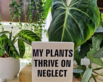 My Plants Thrive on Neglect Sign – 4.5” Painted Wood Block for Plant Parents