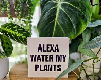 Alexa Water My Plants - Funny Plant Sign – 4.5” Square Wood Block for Houseplant Lovers