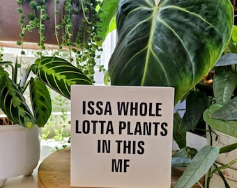 Issa Whole Lotta Plants in This MF - Funny Plant Sign – 3.5x3.5 or 4.5x4.5 Wood Block – Plant Lover Decor
