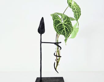Hand-Forged Metal Plant Propagation Station: Single Leaf Design