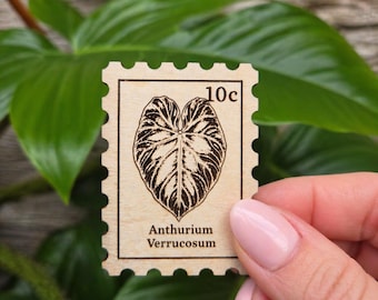 Anthurium Verrucosum Magnet – Velvet Leaf Botanical Wood Fridge Decor