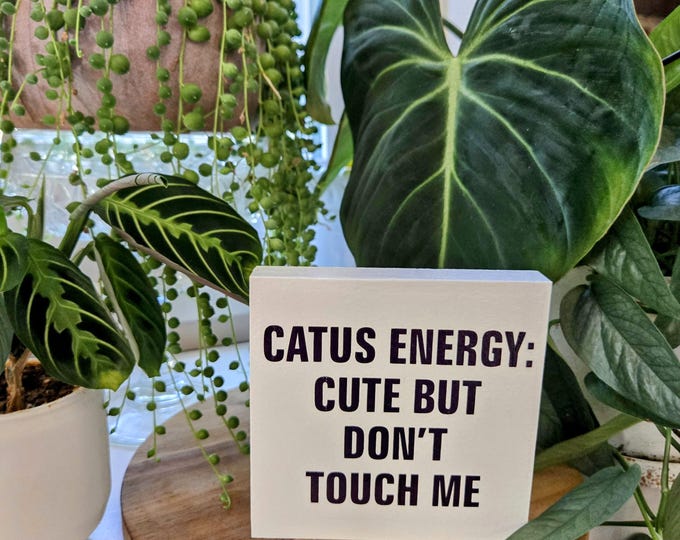 Featured listing image: Catus Energy Wood Sign – 4.5x4.5" Funny Plant Decor – Cute But Don’t Touch Me – Cactus Gift for Sass Queens