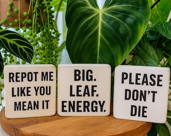 Set of 3 Funny Plant Quote Blocks – 3.5" Wood Signs – Dirty, Sassy, and Slightly Unhinged Plant Decor – Gift for Plant Lovers