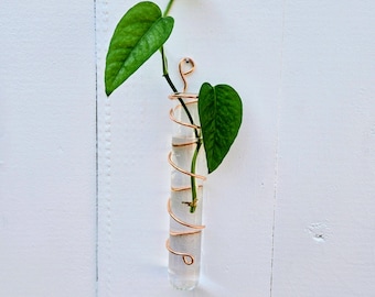 Copper Plant Propagation Station | Hand-Formed Hanger, Glass Test Tube Vase