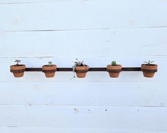 5 Pot - Rustic Wall-Mounted Metal Plant Holder