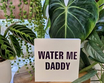 Water Me Daddy Plant Sign – 4.5x4.5 Wood Block – Funny Plant Decor – Sassy Houseplant Gift – Plant Daddy Humor Shelf Sign