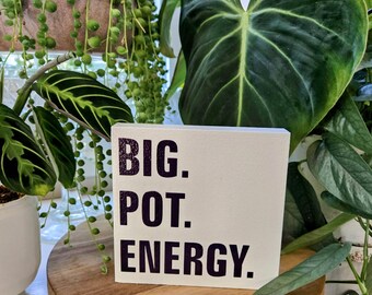Big Pot Energy | Funny Plant Sign | 4.5” Wood Shelf Sitter | Sassy Plant Mom Decor | Houseplant Humor Gift