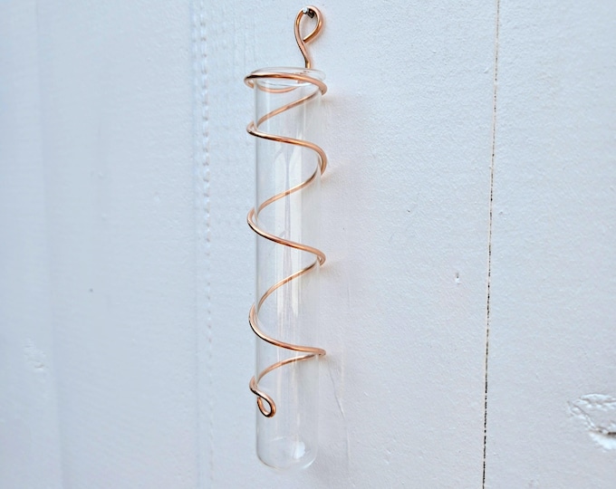 Featured listing image: Copper Plant Propagation Station: Hanging Test Tube Vase