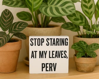 Funny Plant Sign: Stop Staring at My Leaves - Sassy Houseplant Decor