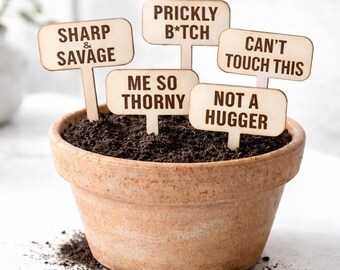Sharp & Savage Cactus Plant Stakes | Laser-Cut Wood Plant Markers Set