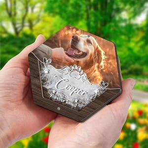 Custom Pet Hair Storage Box, Acrylic Box With Pet Picture, Pet Fur Keepsake, Pet Tooth Memorial Gift, Pet Memorial, Personalized Jewelry