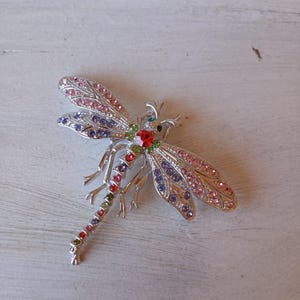 Rucinni Dragon Fly Pin/ pendant