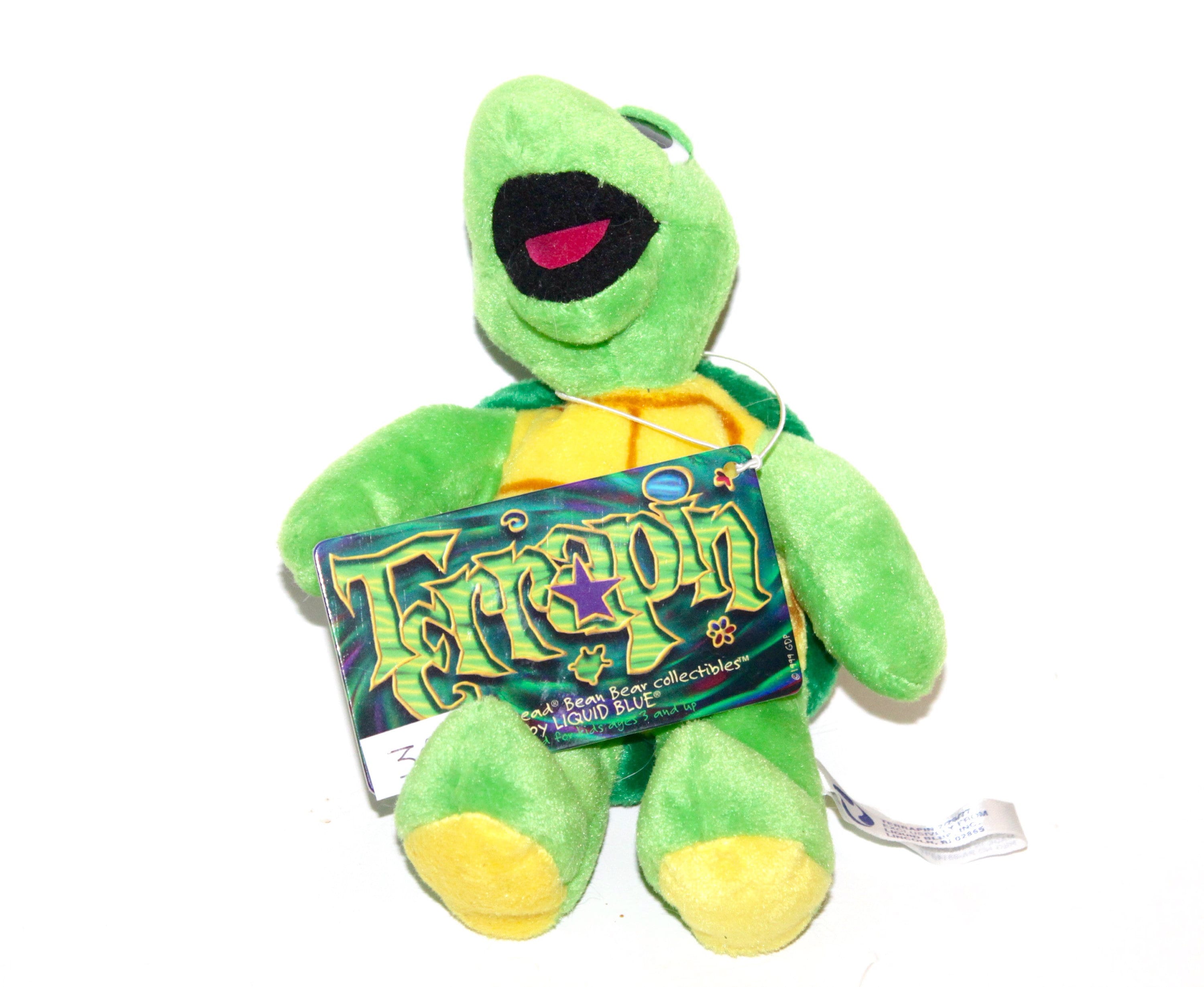 Sixth Generation Vintage Grateful Dead Plush Bear, Beanie