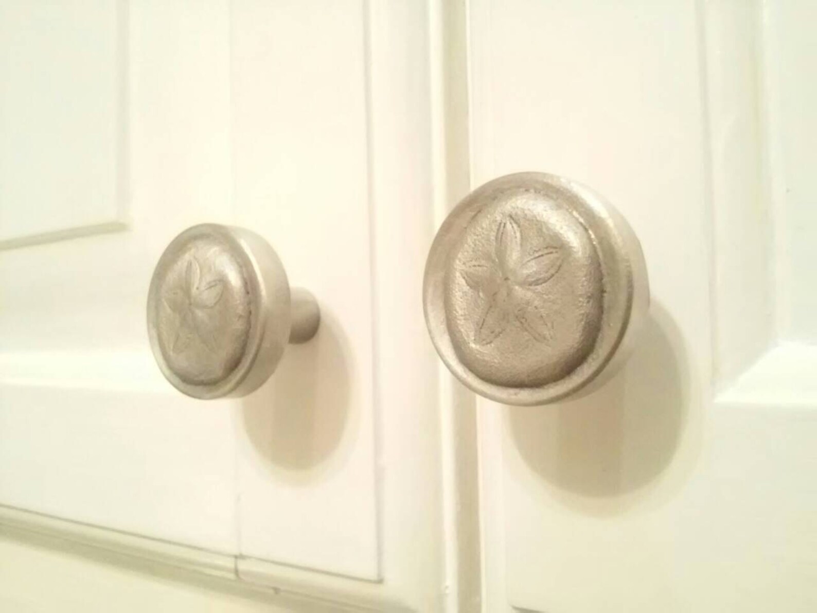 Round Pewter Sand Dollar Knob With Satin Finish Etsy