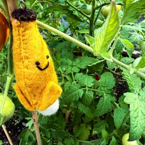 May include: A handmade yellow felt banana keychain with a smiling face and a brown top. The banana-shaped charm is hanging in a garden with green tomato plants. The keychain is attached to a silver metal ring.