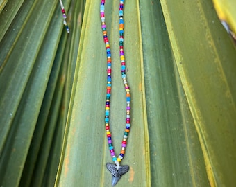 Dainty Rainbow Shark Tooth Necklace, Real Tooth, Beachy Handmade Jewelry, Ocean Inspired Gift