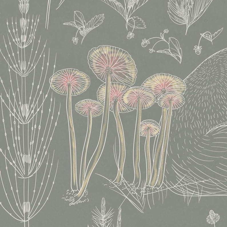 Woodland Dreams – Botanical Forest Wallpaper for Kids | Fox, Rabbit & Ferns Mural | Sage Green Nursery Wallpaper, 6-117R color 2 image 7