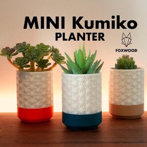 3D Gedruckter Mini Geometrischer Pflanzer: Sukkulententopf im Japanischen Stil