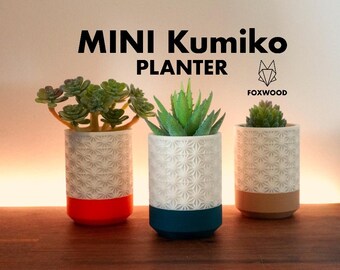 3D Printed Mini Geometric Planter: Japanese Style Succulent Pot