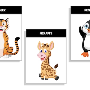 Collection of 20 Zoo Animal Flash Cards