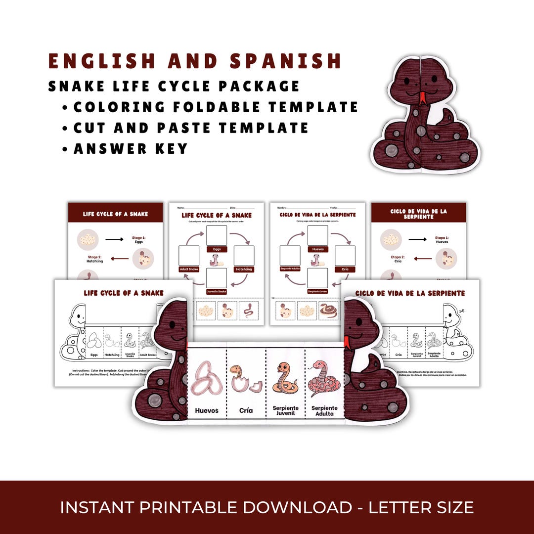 Snake Life Cycle Bilingual Worksheet Bundle | English & Spanish ...